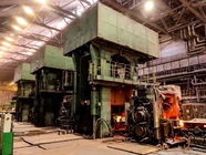 Oskol Electrometallurgical Complex JSC